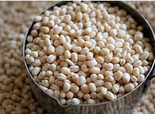 [HOT0012] URDAL 1KG